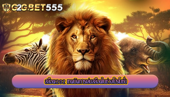 สล็อต202 เทคนิคการเล่นสล็อตในช่วงโปรโมชั่น
