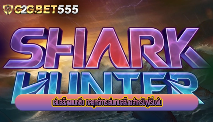 เล่นสล็อตแมชชีน กลยุทธ์การเล่นเกมสล็อตสำหรับผู้เริ่มต้น